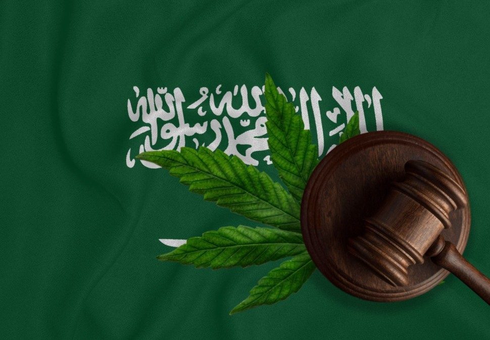 اهم اسئلة العملاء قبل التعامل مع مكتب محاسبة قانوني {{brizy_dc_image_alt imageSrc=